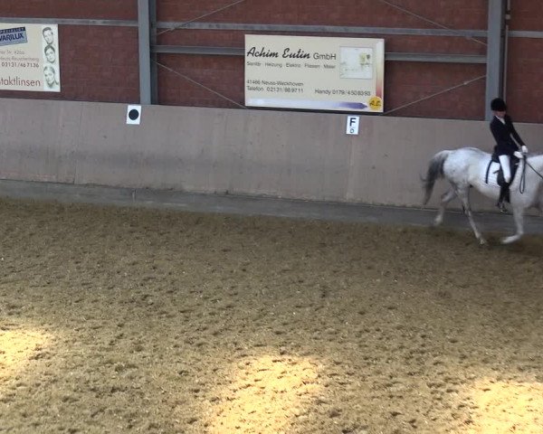 Kreisturnier auf dem Hilgershof 2018
