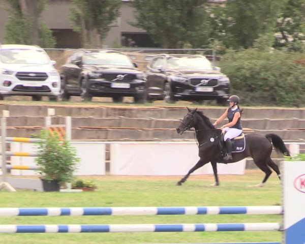 Reitturnier Baschütz bei Bautzen 2018