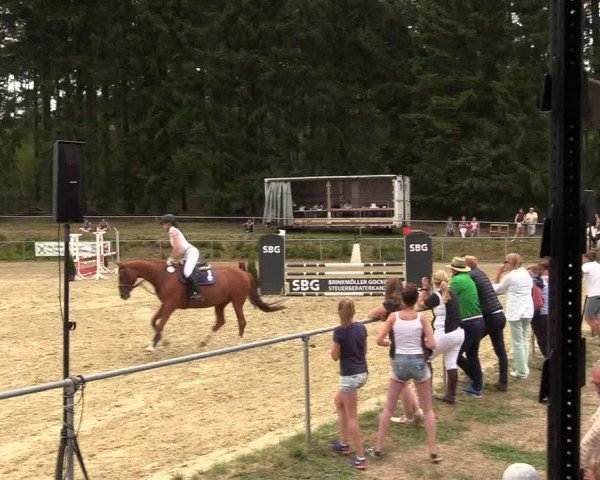Reitturnier Brilon-Reitanlage Volbracht 2018