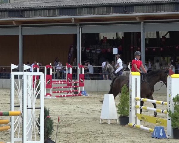 Schwyzer Pferdesporttage 2018