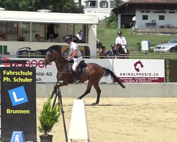 Schwyzer Pferdesporttage 2018