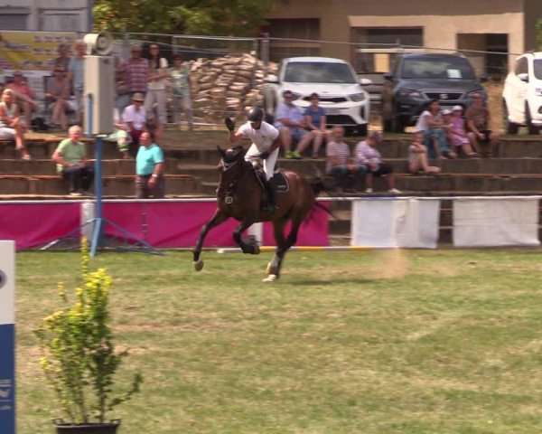 Reitturnier Baschütz bei Bautzen 2018