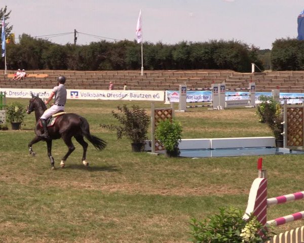 Reitturnier Baschütz bei Bautzen 2018