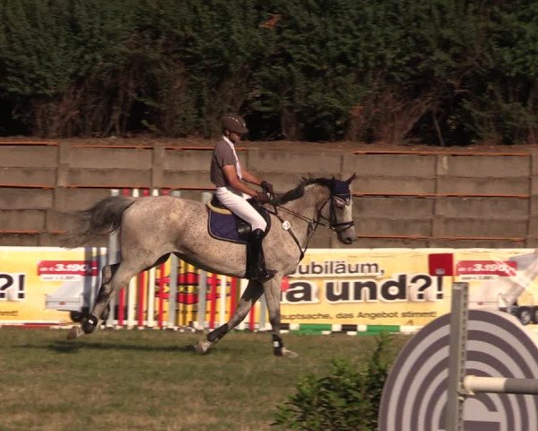 Reitturnier Baschütz bei Bautzen 2018