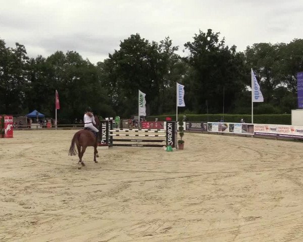 Reitturnier Münster-Handorf 2018