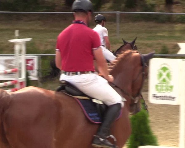 Reitturnier Brilon-Reitanlage Volbracht 2018