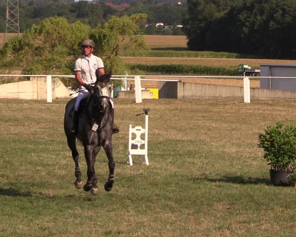 Reitturnier Baschütz bei Bautzen 2018