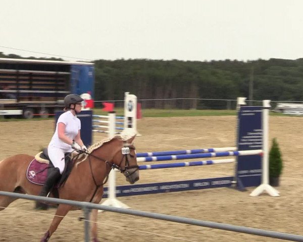 Reitturnier Brilon-Reitanlage Volbracht 2018