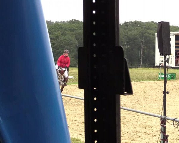 Reitturnier Brilon-Reitanlage Volbracht 2018