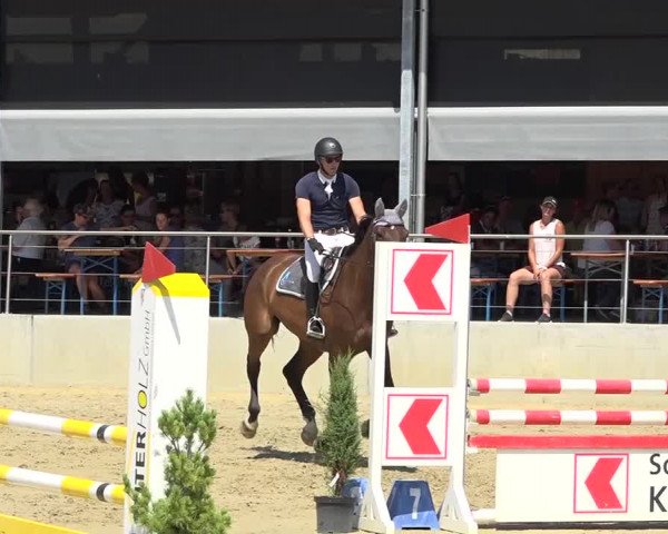 Schwyzer Pferdesporttage 2018