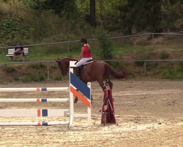 Reitturnier Brilon-Reitanlage Volbracht 2018