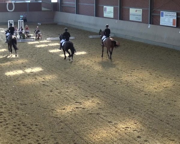 Kreisturnier auf dem Hilgershof 2018