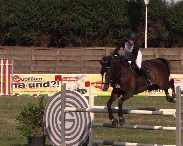 Reitturnier Baschütz bei Bautzen 2018