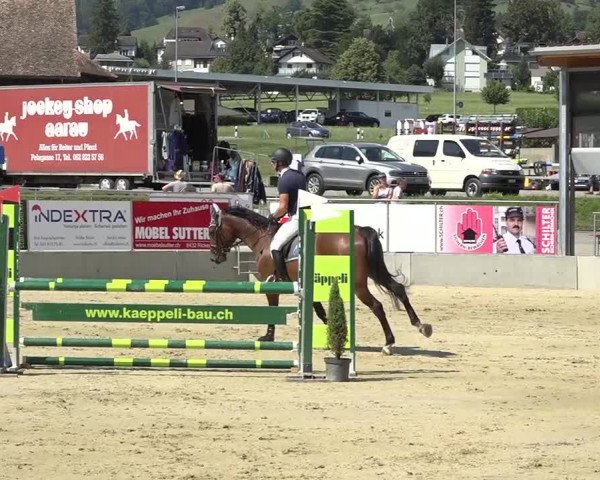 Schwyzer Pferdesporttage 2018