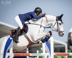 jumper Elwica Dn (KWPN (Royal Dutch Sporthorse), 2009, from VDL Cardento 933)