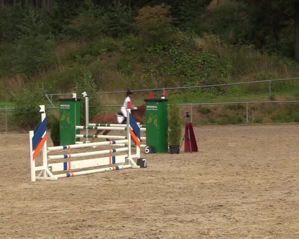 Reitturnier Brilon-Reitanlage Volbracht 2018