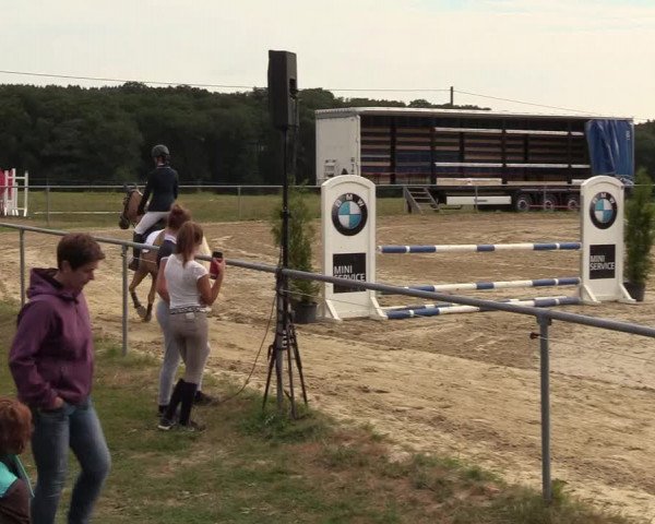 Reitturnier Brilon-Reitanlage Volbracht 2018