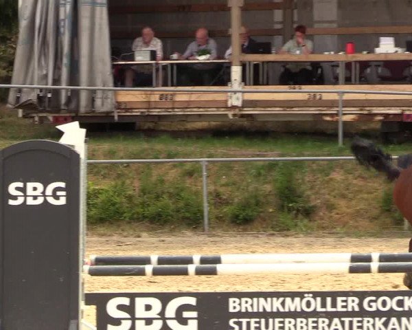 Reitturnier Brilon-Reitanlage Volbracht 2018