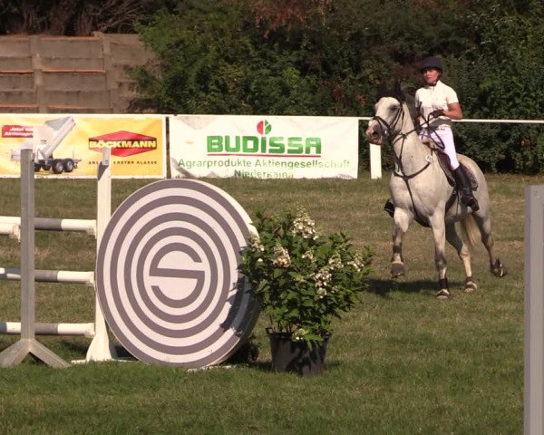 Reitturnier Baschütz bei Bautzen 2018