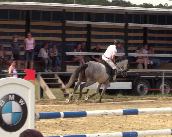 Reitturnier Brilon-Reitanlage Volbracht 2018