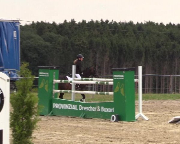 Reitturnier Brilon-Reitanlage Volbracht 2018