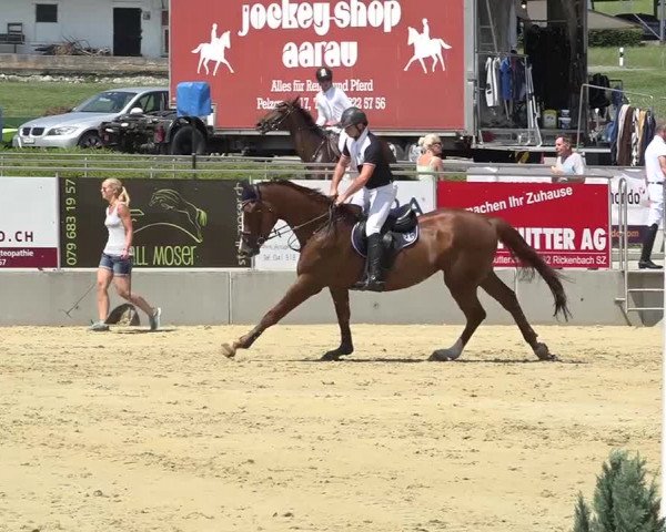 Schwyzer Pferdesporttage 2018