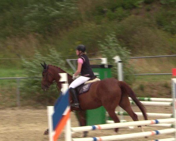 Reitturnier Brilon-Reitanlage Volbracht 2018