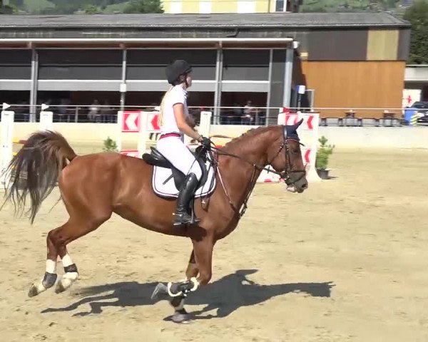 Schwyzer Pferdesporttage 2018