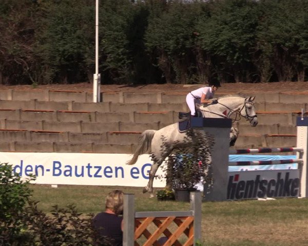 Reitturnier Baschütz bei Bautzen 2018