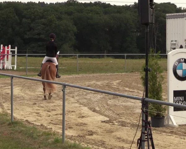 Reitturnier Brilon-Reitanlage Volbracht 2018