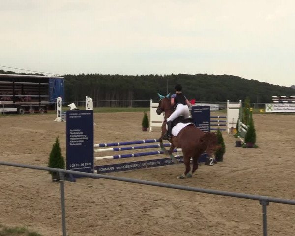 Reitturnier Brilon-Reitanlage Volbracht 2018