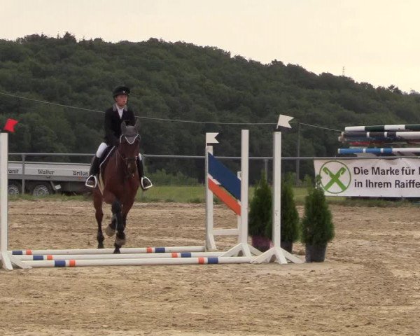 Reitturnier Brilon-Reitanlage Volbracht 2018
