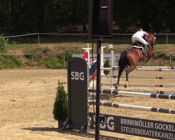 Reitturnier Brilon-Reitanlage Volbracht 2018