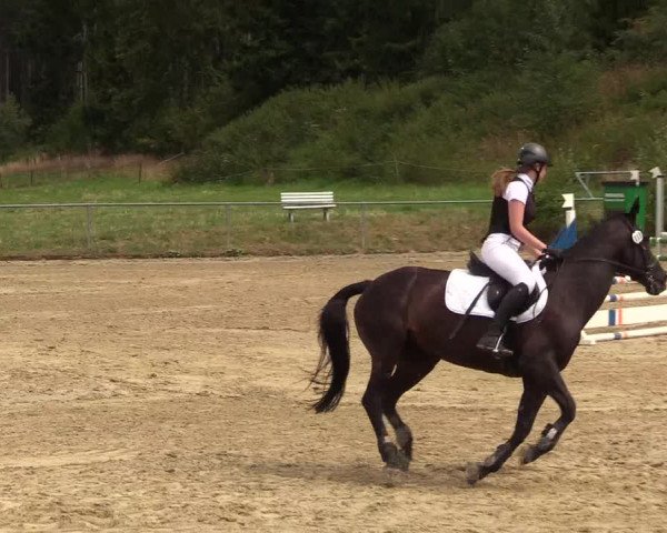 Reitturnier Brilon-Reitanlage Volbracht 2018