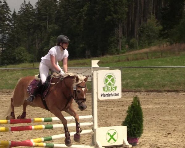 Reitturnier Brilon-Reitanlage Volbracht 2018