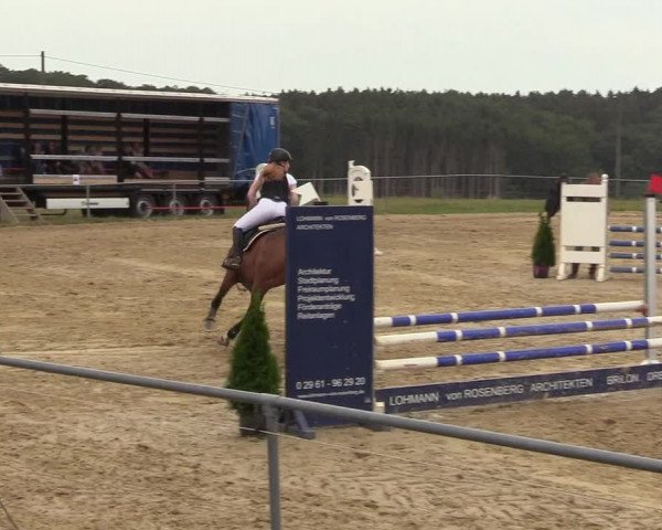Reitturnier Brilon-Reitanlage Volbracht 2018