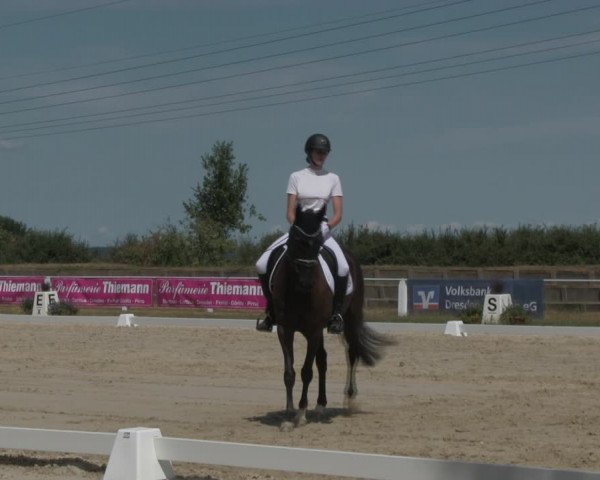 Reitturnier Baschütz bei Bautzen 2018