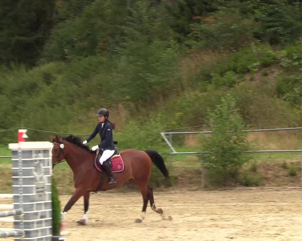Reitturnier Brilon-Reitanlage Volbracht 2018