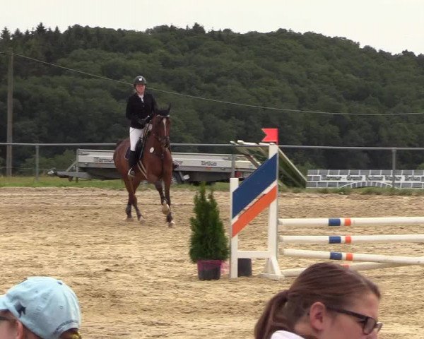 Reitturnier Brilon-Reitanlage Volbracht 2018