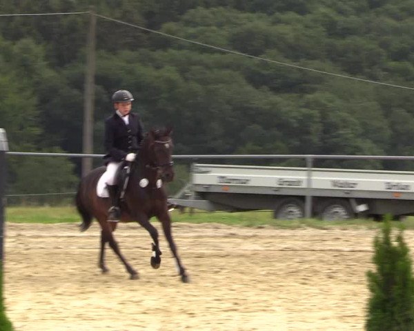 Reitturnier Brilon-Reitanlage Volbracht 2018