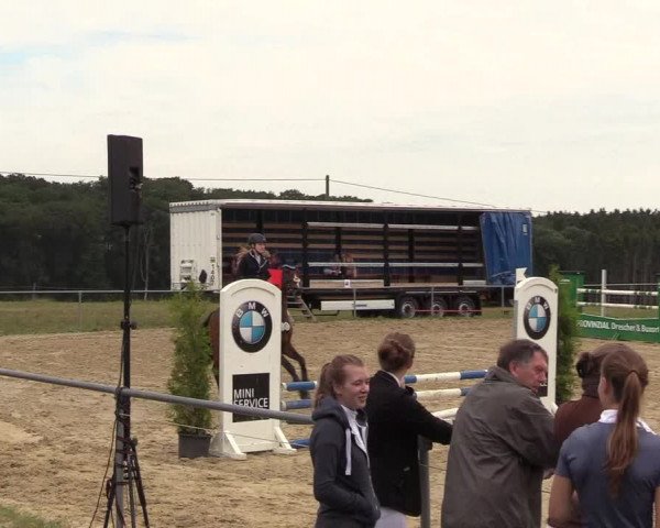 Reitturnier Brilon-Reitanlage Volbracht 2018