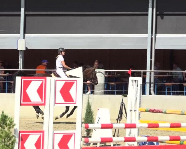 Schwyzer Pferdesporttage 2018