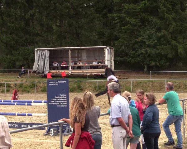 Reitturnier Brilon-Reitanlage Volbracht 2018