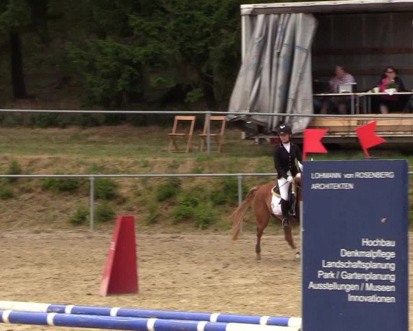 Reitturnier Brilon-Reitanlage Volbracht 2018