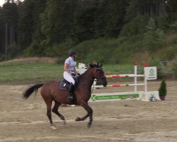 Reitturnier Brilon-Reitanlage Volbracht 2018