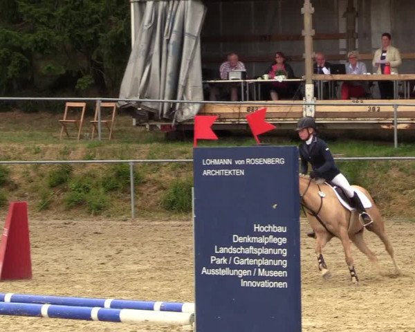 Reitturnier Brilon-Reitanlage Volbracht 2018