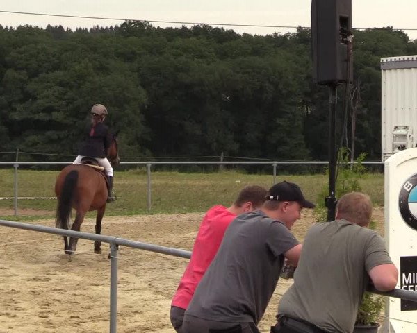 Reitturnier Brilon-Reitanlage Volbracht 2018