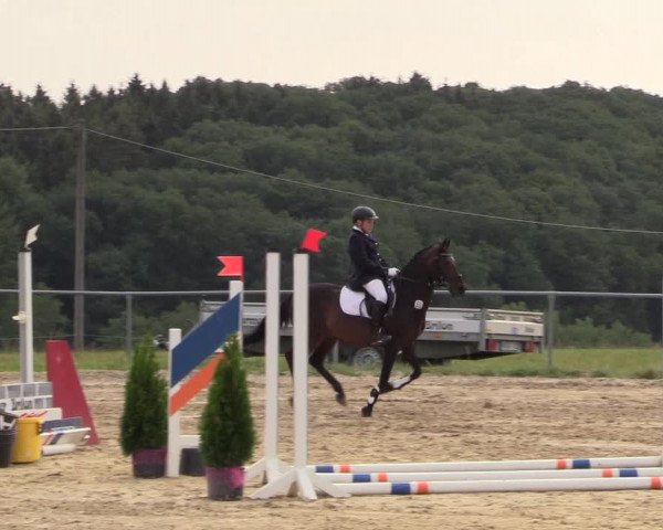 Reitturnier Brilon-Reitanlage Volbracht 2018