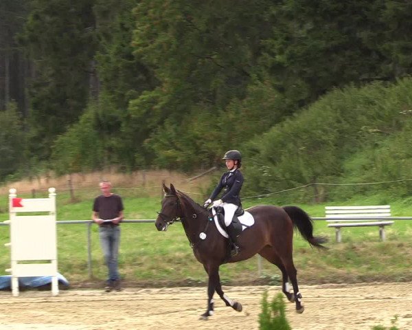 Reitturnier Brilon-Reitanlage Volbracht 2018