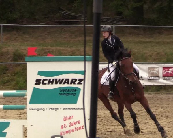 Reitturnier Brilon-Reitanlage Volbracht 2018